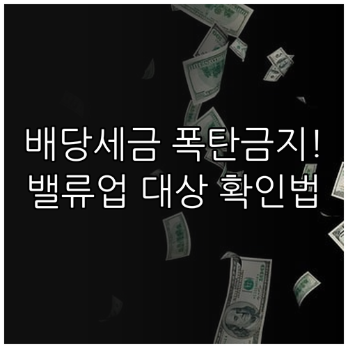 밸류업 프로그램 배당소득 분리과세 대..