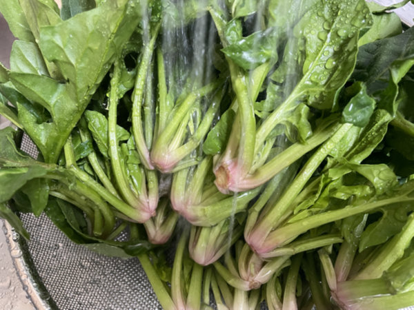 시금치 세척 - 흐르는 물에 대충 한 번