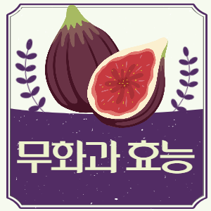 무화과 효능