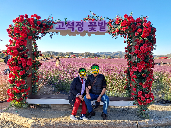 철원 고석정꽃밭 온천여행꿀팁