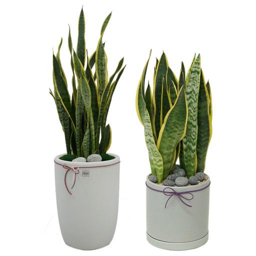 개업 축하 문구