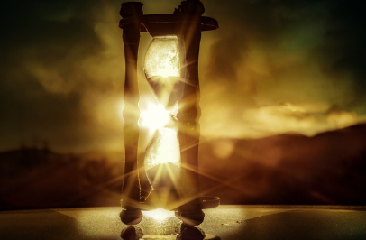 단백질보다 중요한 것, 채식과 노화의 연결 고리 탐구