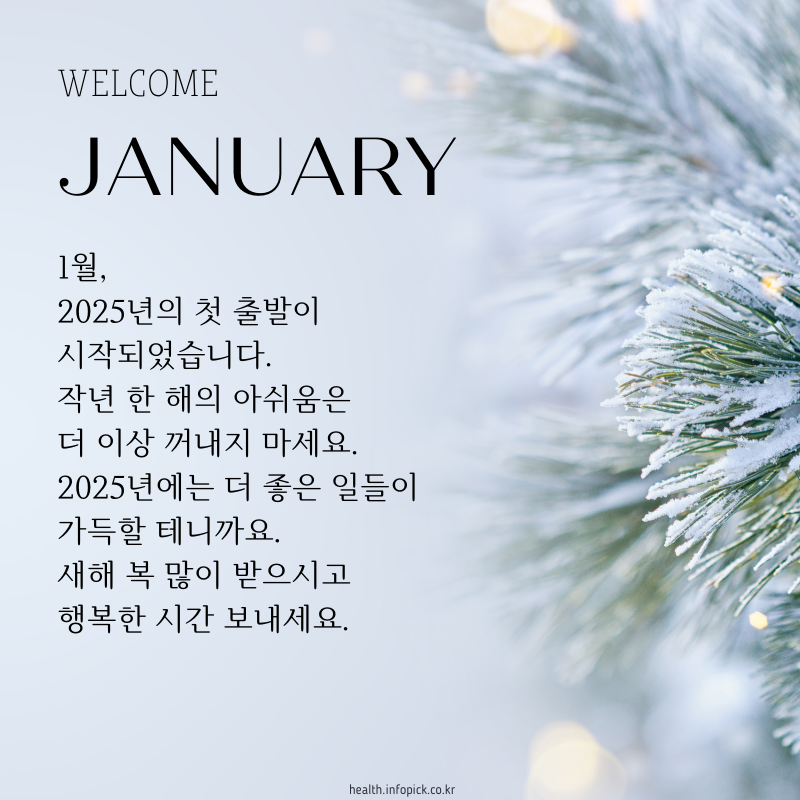2025년 1월 인사말 문구 이미지 모음