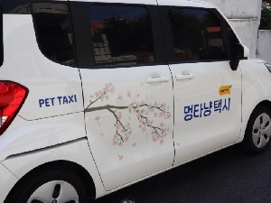 글의 이해를 돕기 위한 멍타냥 펫택시