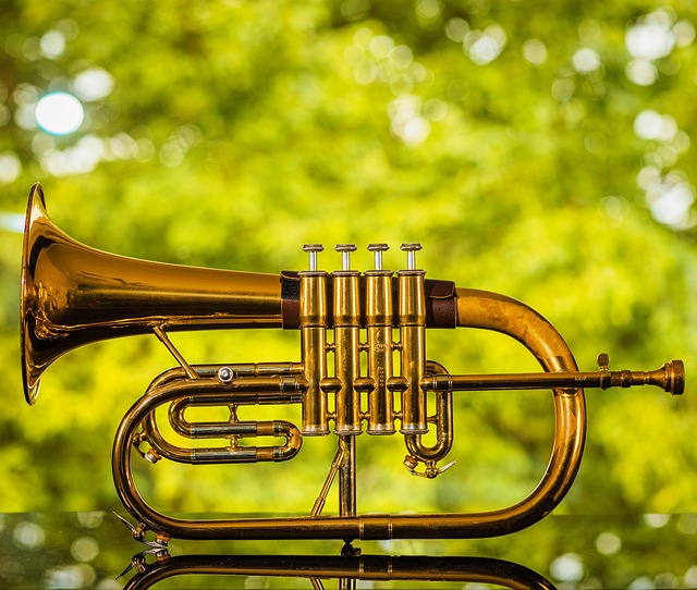 자라섬 페스티벌 2025