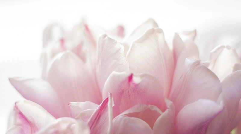 1. 건설업계 여성의 진출 현황