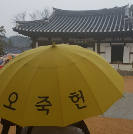 오죽헌 양심우산