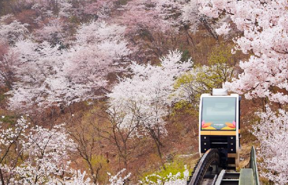 디지털 온누리 캐시백&amp;#44; 쓰기만 해도 돈이 쌓여요