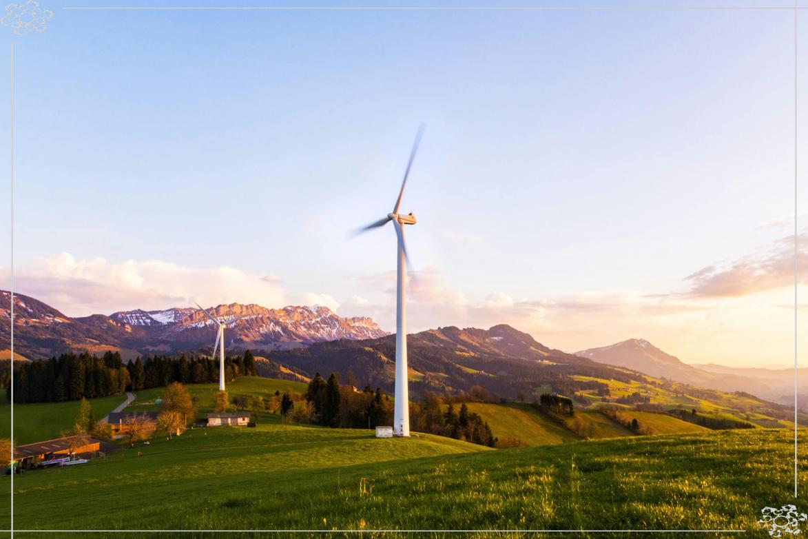 2025년 9월 11일 계미일 띠별 운세 총정리_2 용띠&amp;#44; 뱀띠&amp;#44; 말띠&amp;#44; 양띠