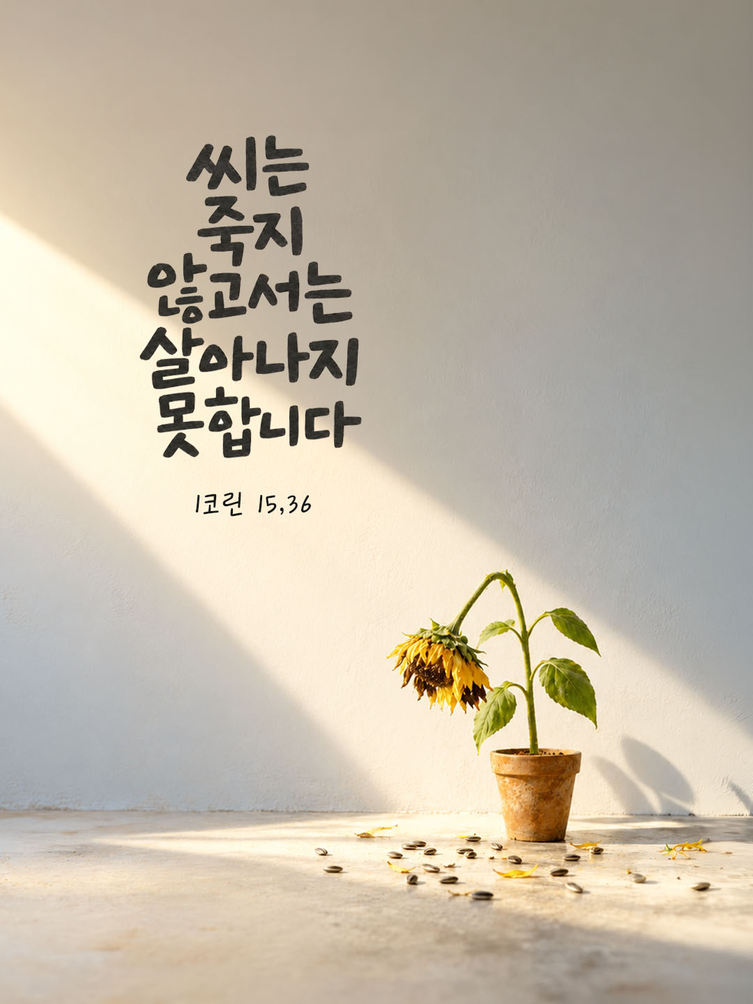 오늘 말씀카드 코린토1서 15장 36절 성경구절 이미지