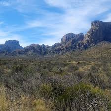 텍사스의 작은 마을