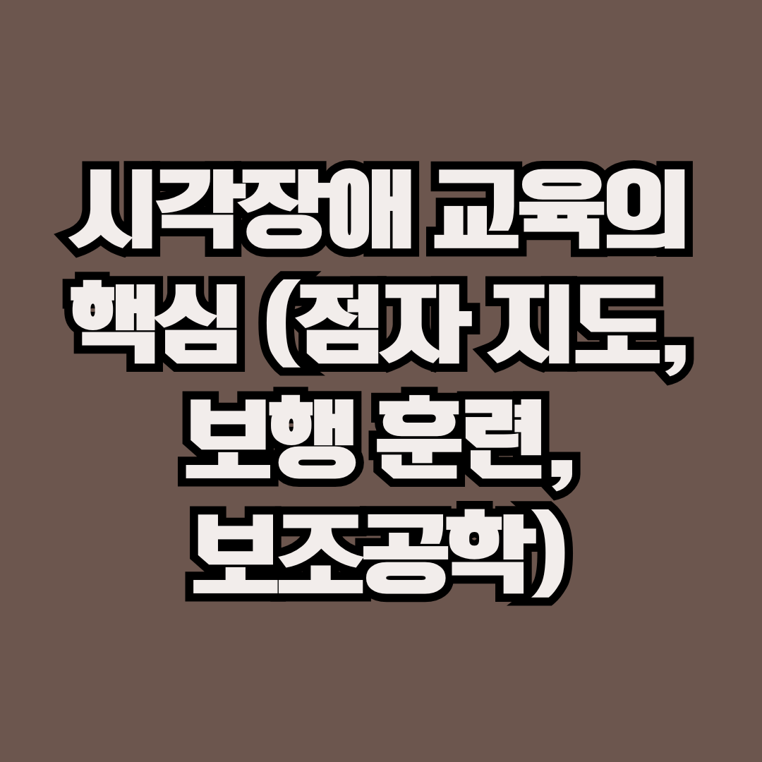시각장애 교육의 핵심 (점자 지도, 보행 훈련, 보조공학)