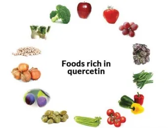 퀘르세틴 효능부족 현상복용방법 시기부작용많은 음식적정량 안내_9