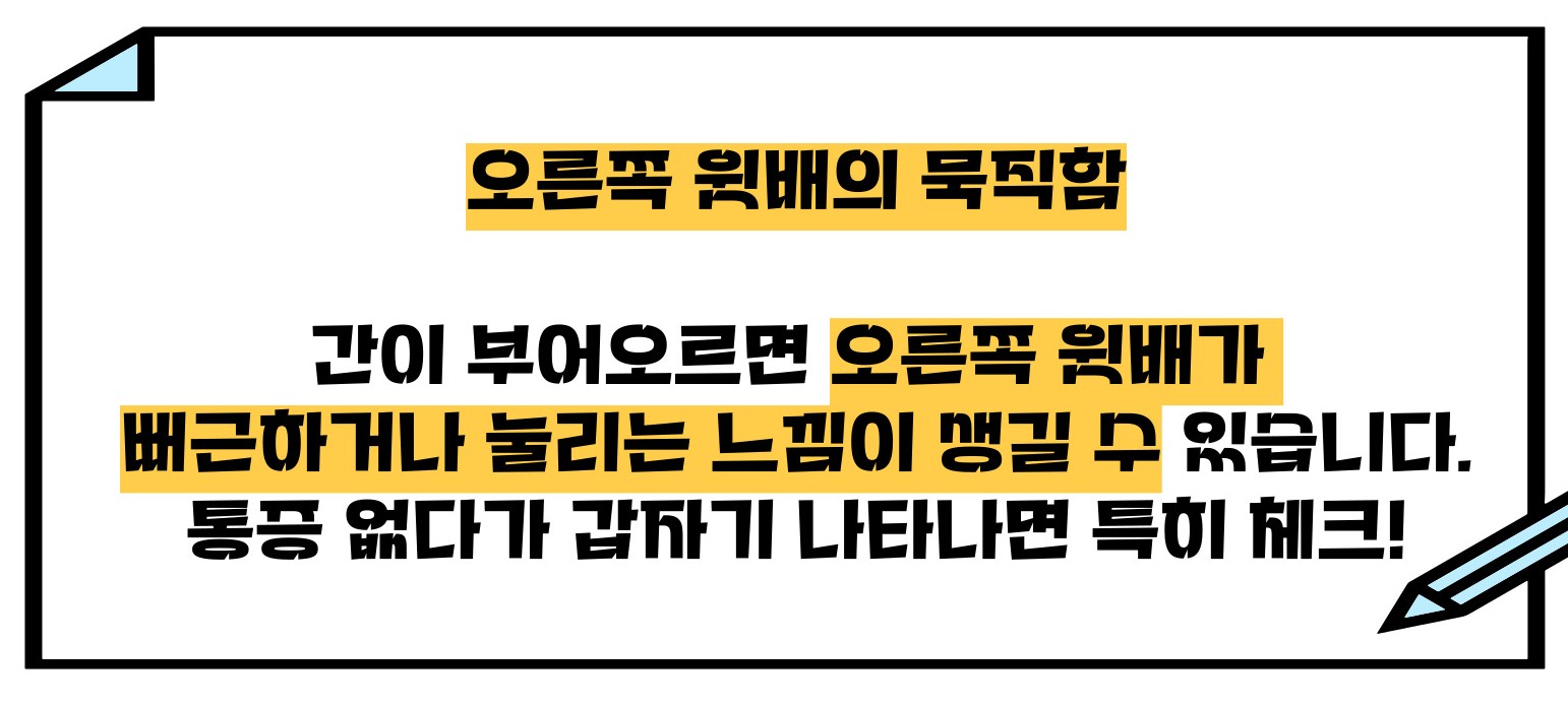 간기능 저하시 나타나는 증상