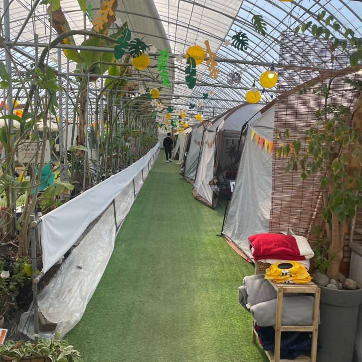 장성-하비스트랜드-9