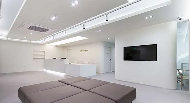 고운채의원