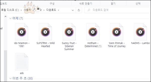티스토리 블로그 ads.txt 문제 해결