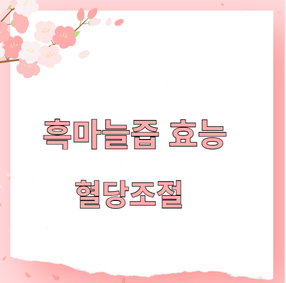 흑마늘즙 효능 혈당조절