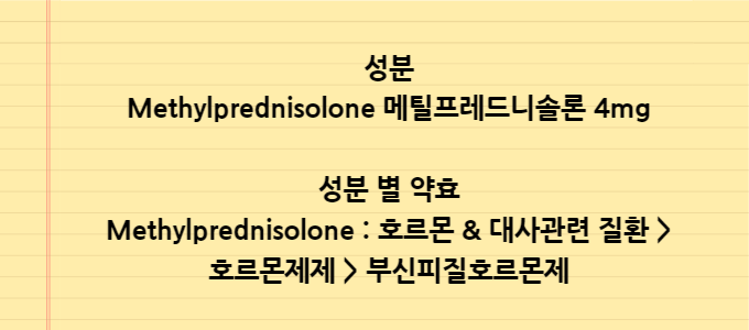 니소론엠정_성분