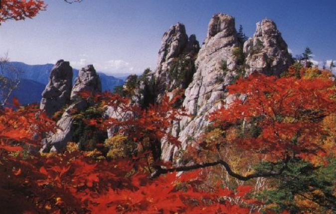 강원도 2025 단풍 산행 추천 코스 ❘ 설악산&middot;오대산&middot;치악산 절정 시기 안내