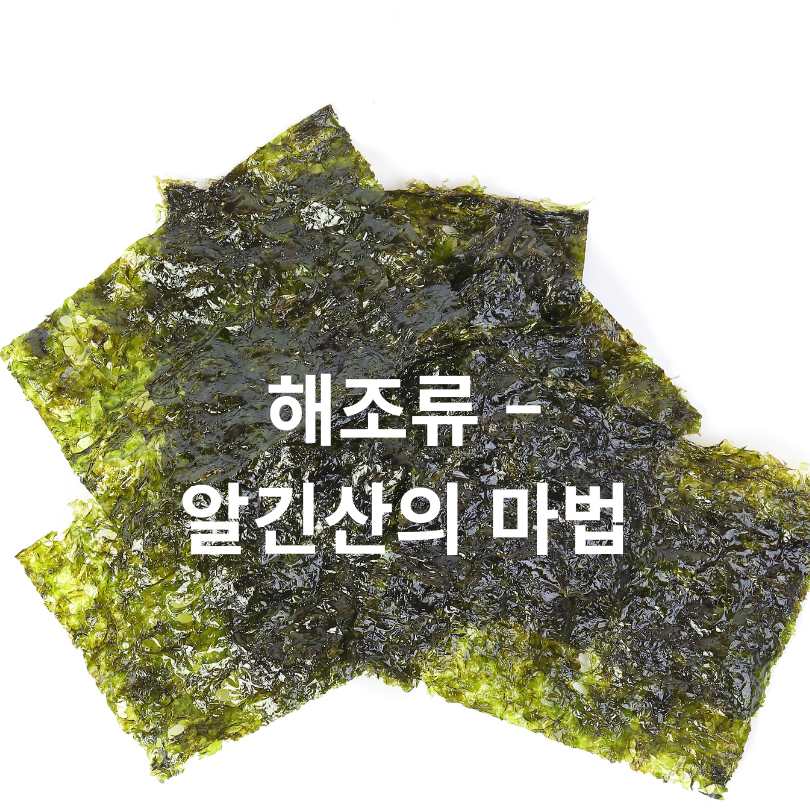 LDL 콜레스테롤 낮추는 음식