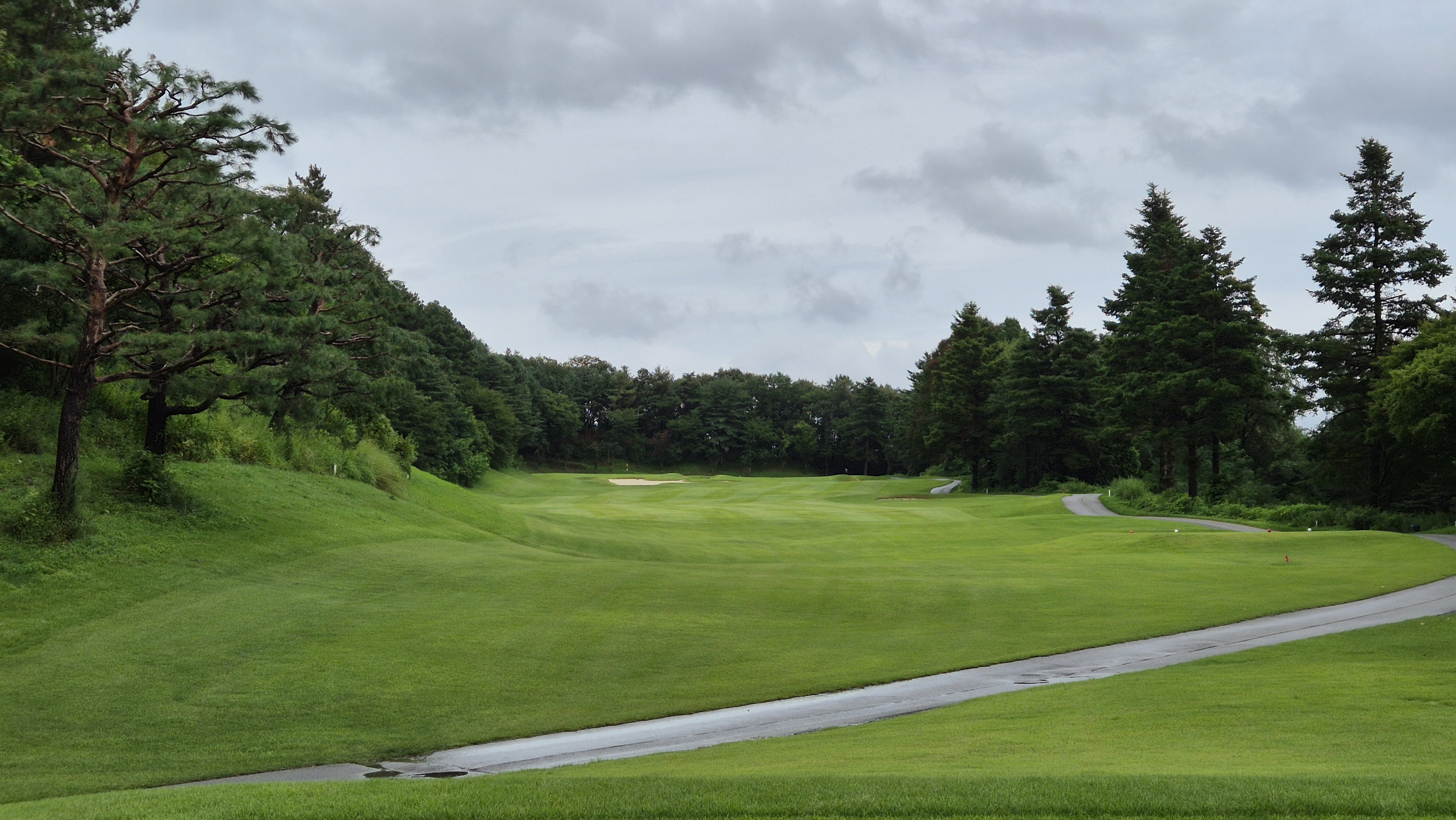 뉴서울cc 예술in-문화in 코스 사진 및 공략 정보