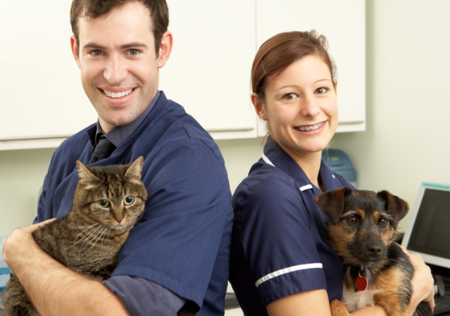 동물병원 코디네이터
동물 코디네이터
유망한 직업