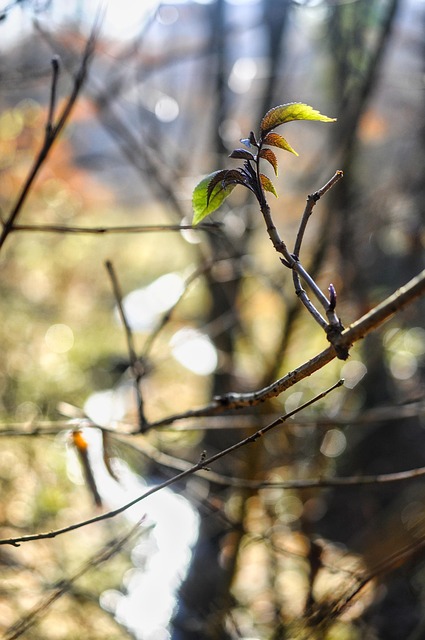  근로 자녀 장려금 내용 신청 기간 신청 방법