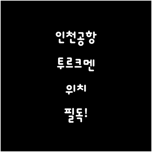 인천공항 투르크메니스탄 항공 터미널과..