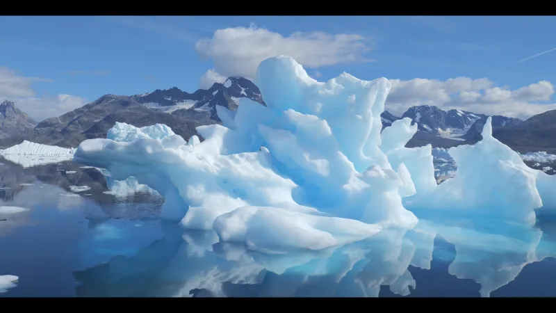 한여름 밤의 빙하 콘서트