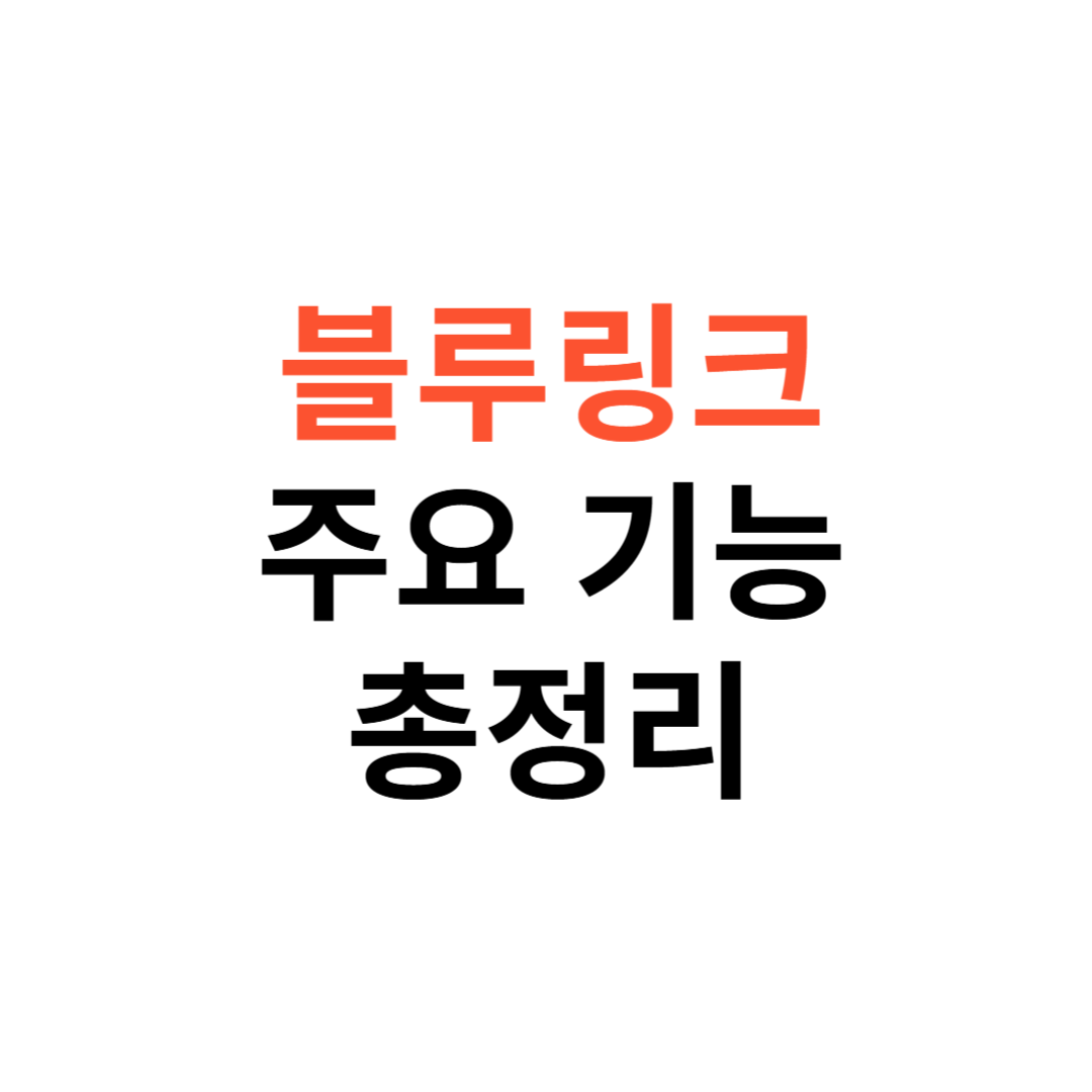 블루링크 주요 기능