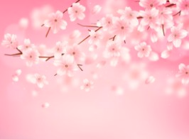 서울-벚꽃-개화시기-6