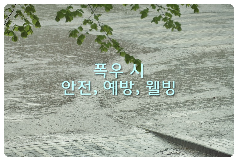 폭우 시 안전&#44; 예방&#44; 웰빙