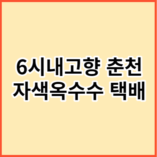 6시내고향 춘천 자색옥수수