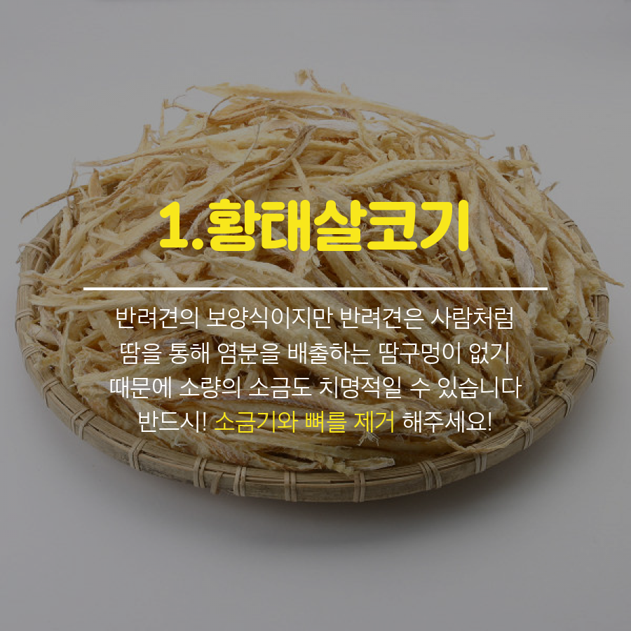 강아지에게 좋은 음식BEST8