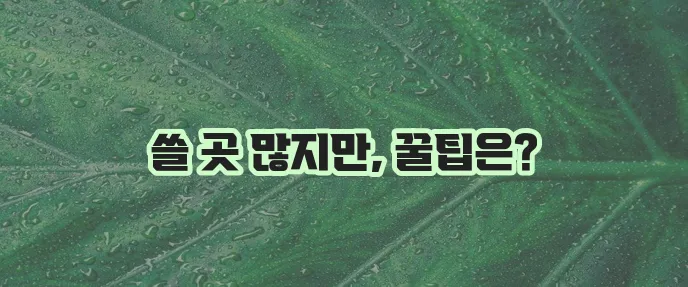 이마트 상품권 어디에서 사용해야 할까요 궁금하시죠