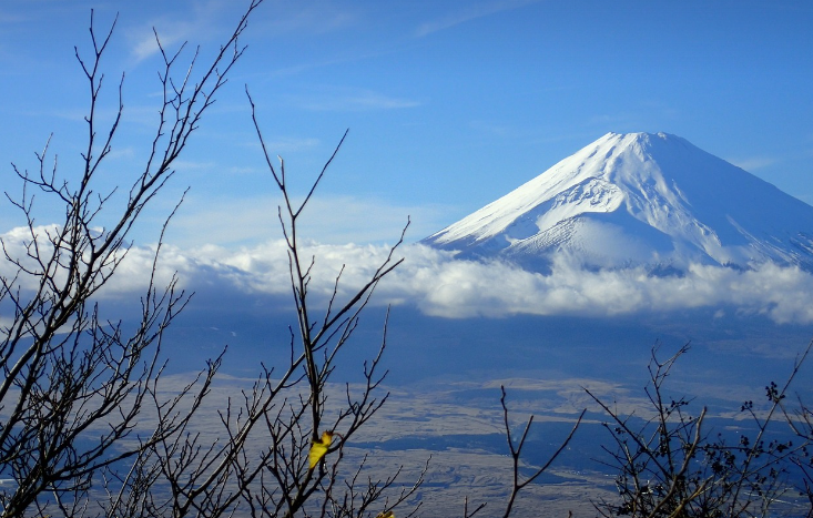 하코네여행사진