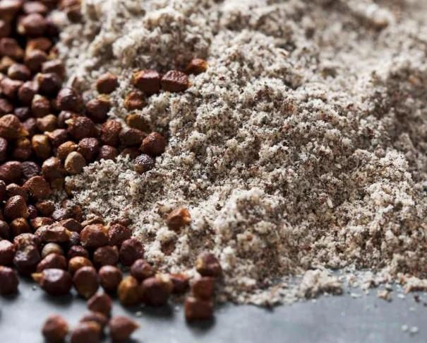 파라다이스그레인