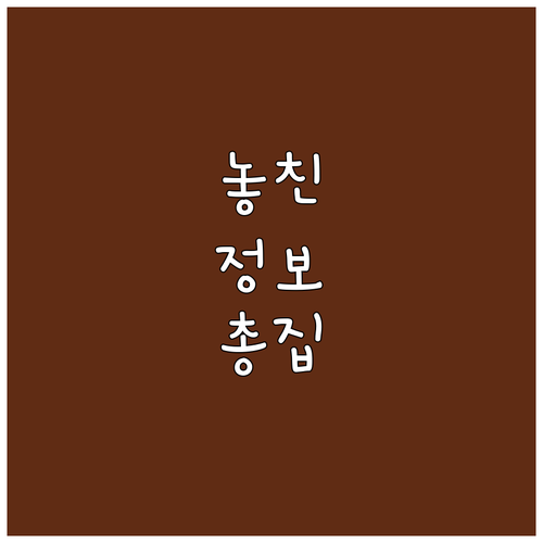 전문 관리사 2025 산모신생아 가정..