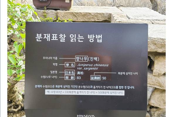 화담숲-예매-팁-3