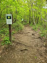 여름에 걷기 좋은 숲길 10