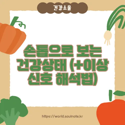 손톱으로 보는 건강상태 (+이상 신호 해석법)