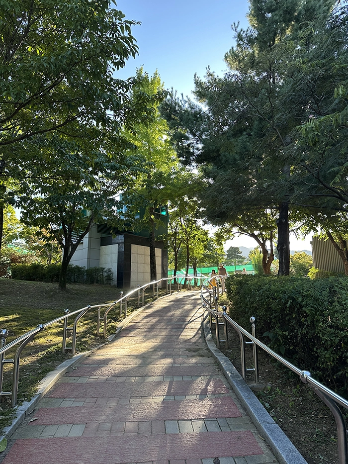수성못 가는 길