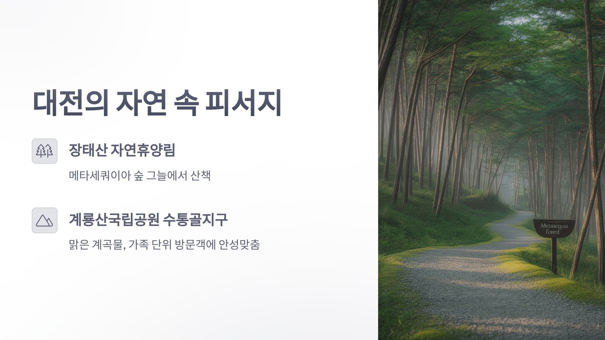 참조-2025-피서지-2