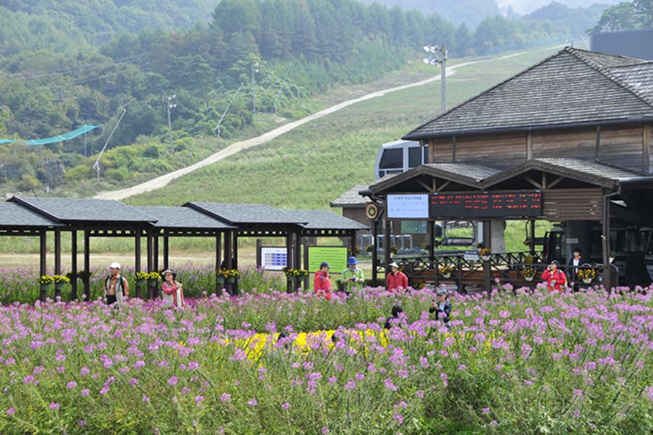 무주 덕유산 곤도라 예약 및 요금