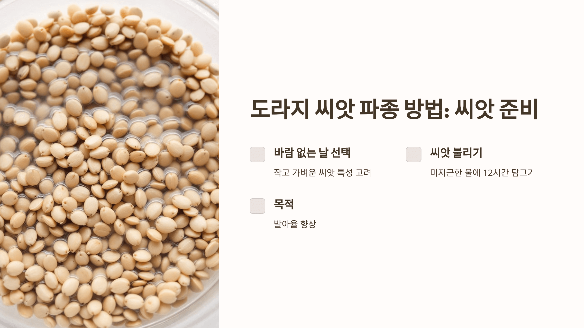 도라지 사진입니다.