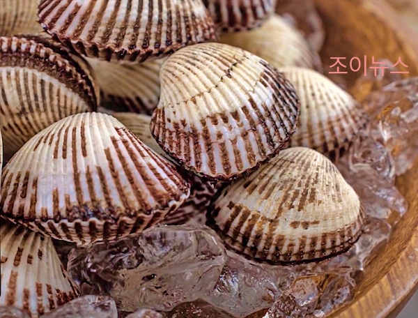 새꼬막은 전국 마트 어디에서나 보기 쉽습니다.