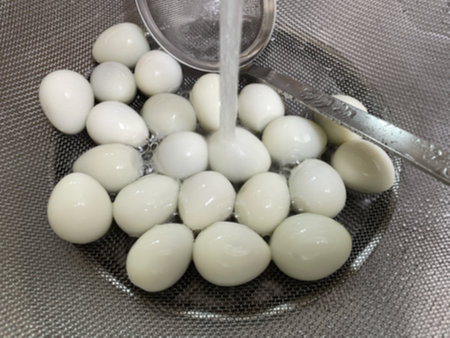 소고기장조림에 들어갈 삶은 메추리알