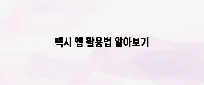 카카오 택시 앱 설치 방법│사용법