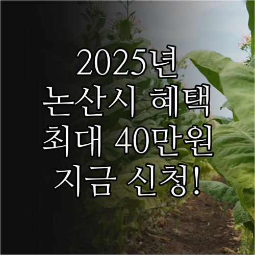 2025 논산시 산후조리도우미 지원금..